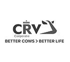 Logo-CRV-zw-w